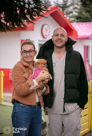 Bransoletka charytatywna Fundacji ADA z sercem i łapką